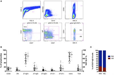 Perturbation of B Cell Gene Expression Persists in HIV-Infected Children Despite Effective Antiretroviral Therapy and Predicts H1N1 Response